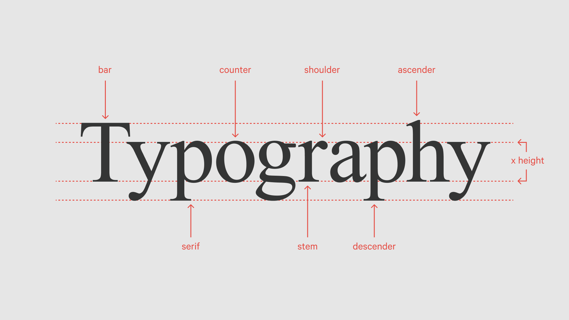 TYPOGRAFIE